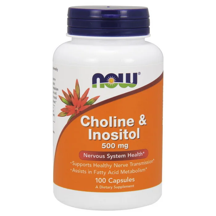 Choline & Inositol 500 мг - 100 капсул