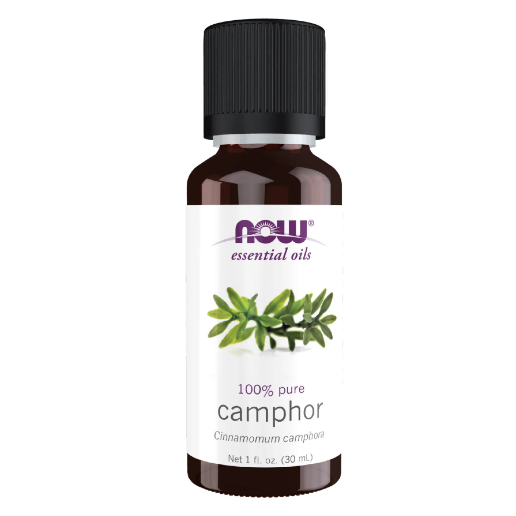 Camphor Oil - 30 мл