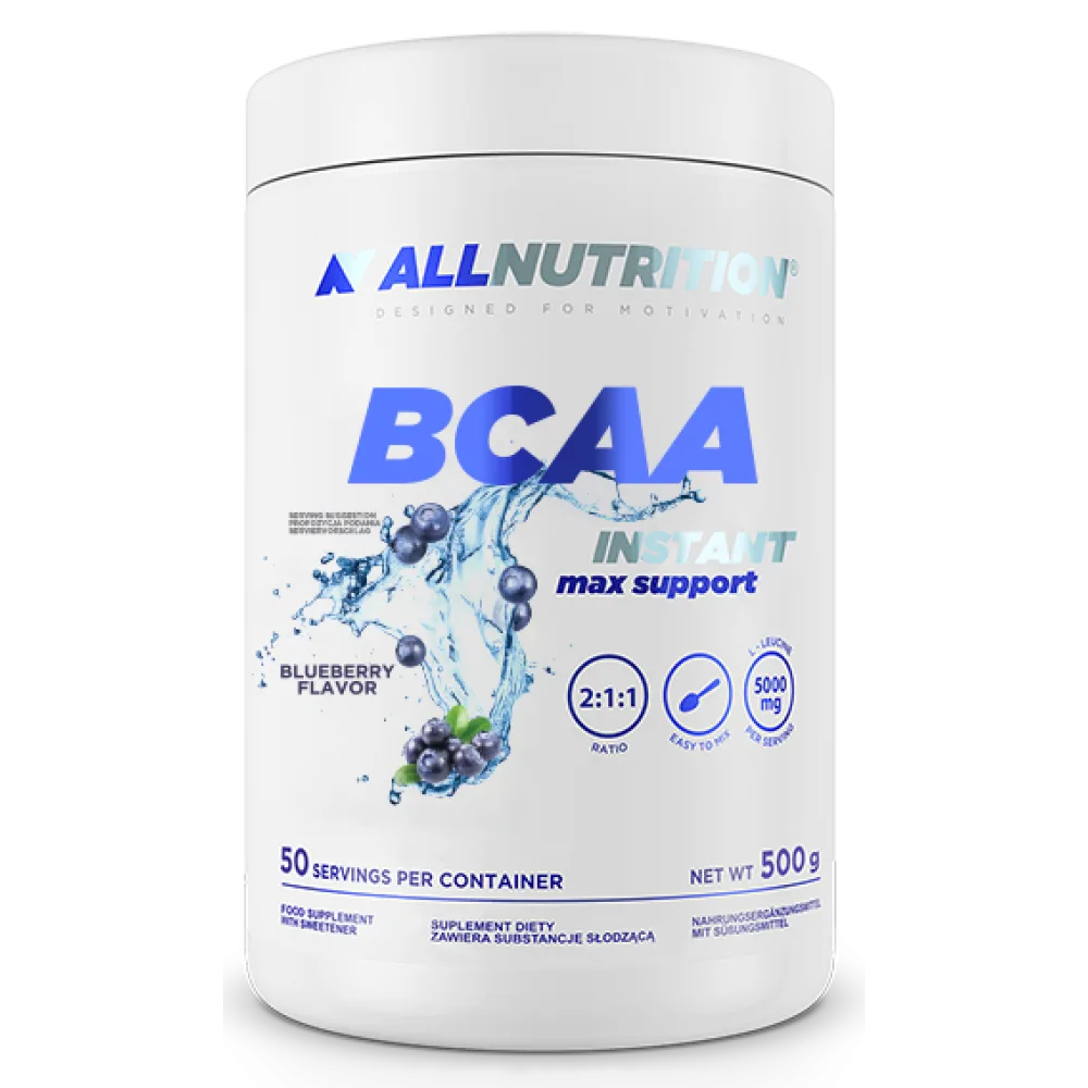BCAA Max Support Instant - 500 г Чорниця (До 10.26)