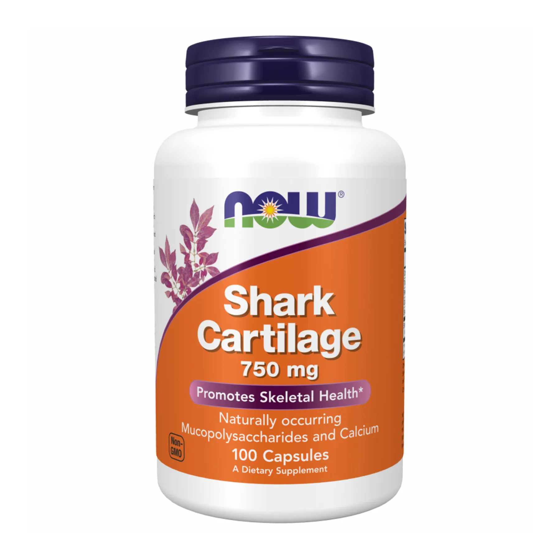 Shark Cartilage 750 мг - 100 капсул