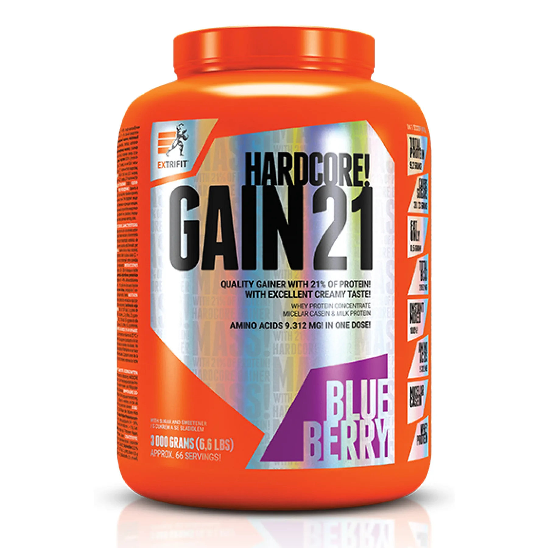 Hardcore Gain21 - 3 кг Чорниця