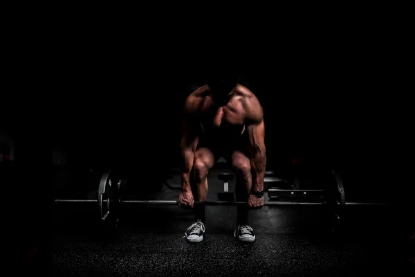 Top 5 Protein Brands of 2026