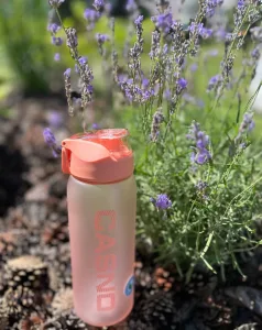 Пляшка для води CASNO 800 мл KXN-1246 рожева