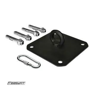 Кріплення для боксерської груші EasyFit стельове