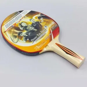 Ракетка для настільного тенісу Donic Top Team 300 Original