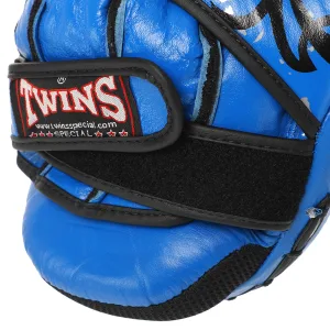Лапа для єдиноборства TWN 2 шт TW4 синій