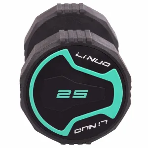 Гантель цільна професійна LI NUO 1 шт 25 кг