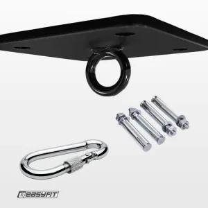 Кріплення для боксерської груші EasyFit стельове