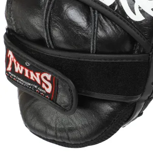 Лапа для єдиноборства TWN 2 шт TW4 синій