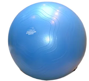 М'яч для фітнесу (фітбол) укріплений PowerPlay 4000 Ø65 cm Premium Gymball Anti-Burst синій + помпа