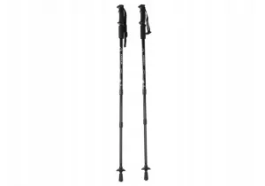 Палиця для скандинавської ходьби EasyFit Energia чорна