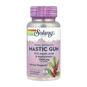 Mastic Gum Extract 500 мг - 45 капсул