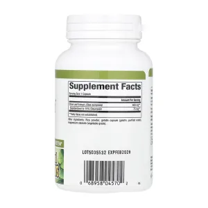 Olive Leaf 500 мг - 90 капсул