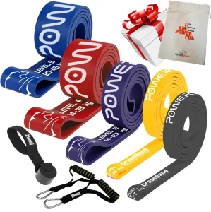 Еспандер-петля (гумові петлі) PowerPlay PP_0027 набір 5шт. опір 2-45кг. (сумарно 128кг.) + ручки та якір