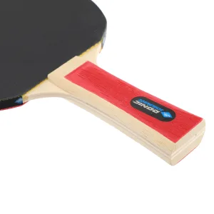 Набір ракеток для настільного тенісу Donic Applegren 300 2-Player Set 788634S (оригінал)