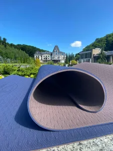 Килимок для йоги та фітнесу PowerPlay 4150 TPE Premium Performance Mat синій (183x61x0,6)