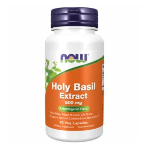 Holy Basil Extract - 90 капсул