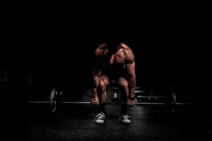 Top 5 Protein Brands of 2026