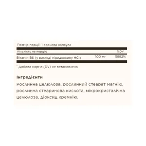 Vitamin B6 100 мг - 100 капсул