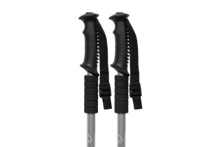 Палка для скандинавской ходьбы EasyFit Energia серая