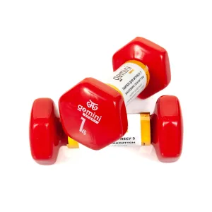 Гантелі Sport для фітнесу з вініловим покриттям 2 шт по 1.0 кг GSD-1.0RED