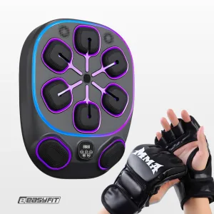 Настенный боксёрский тренажер EasyFit с апперкотами (музыкальный бокс)