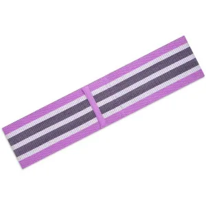 Гумки для фітнесу набір тканинні 3 шт LOOP BANDS (+ фіолетовий)