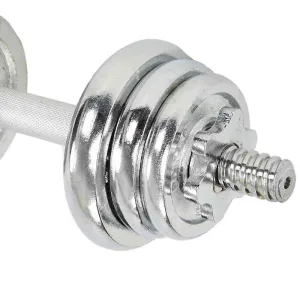 Гантелі розбірні хромовані 2 шт по 6,5 кг