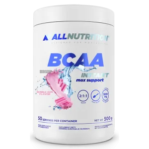 BCAA Max Support Instant - 500 г Жуйка