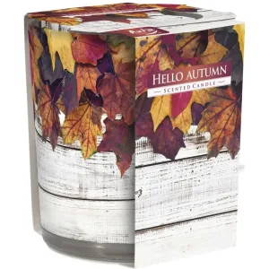 Ароматична свічка в скляному стакані Bispol ласкаво просимо осінь (SN 72s-43)