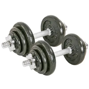 Гантелі розбірні сталеві у валізі 20 кг, 2 шт по 10 кг