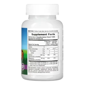 Kids Calcium жувальні Sugarfree - 90 таблеток