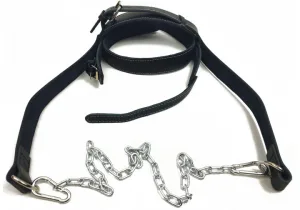 Упряж EasyFit BISON чорна (шкіра)