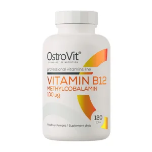 Vitamin B-12 Methylcobalamin - 120 Tablets