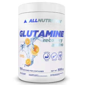 Glutamine Recovery Amino - 500 г апельсин