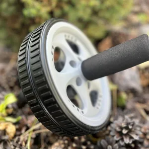 Колесо для пресса PowerPlay PP-4345 Exercise Wheel (d16,5см.) серое