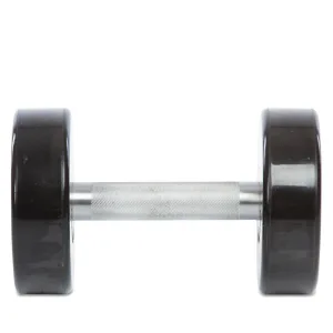 Гантель цільна професійна LIFE FITNESS 1 шт 10 кг