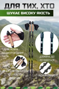 Nordic Walking Poles PowerPlay 9104 Lykke 80 135 cm Pair