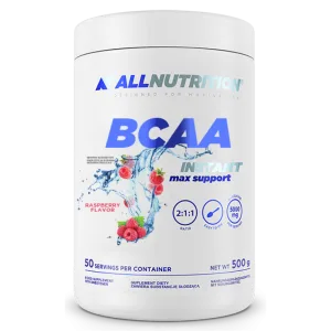 BCAA Max Support Instant - 500 г Малина (До 10.26)
