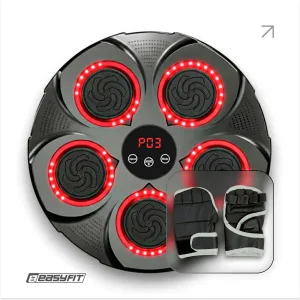 Боксерський тренажер EasyFit настінний музичний з підсвіткою