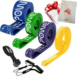 Еспандер-петля (гумові петлі) PowerPlay PP_0025 набір 4шт. опір 5-45кг. (сумарно 114кг.) + ручки та якір