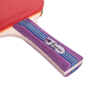 Ракетка для настільного тенісу у чохлі STIGA Force