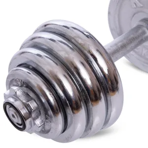 Гантелі розбірні хромовані 2 шт по 12,5 кг - 25 кг