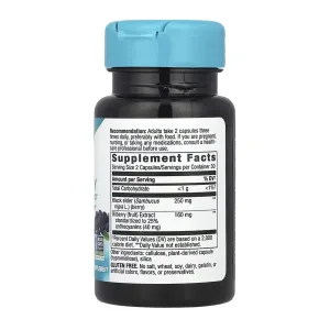 Bilberry - 60 капсул