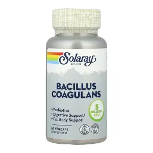 Bacillus Coagulans 5 Billion CFU - 60 капсул