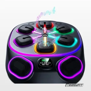 Настенный боксёрский тренажер EasyFit с апперкотами (музыкальный бокс)