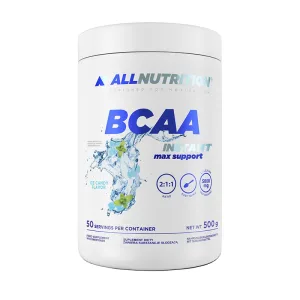 BCAA Instant Max Support - 500 г Манго Ожина
