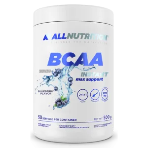 BCAA Max Support Instant - 500 г Чорниця (До 10.26)