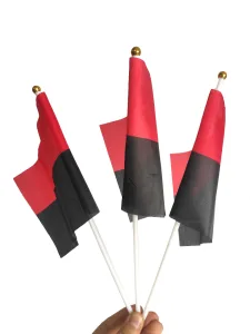 Прапорець УПА набір із 3 х штук поліестер 14*21 см на паличці з присоскою