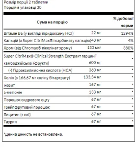 Fat Burner - 60 таблеток